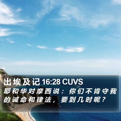 出 埃 及 记 16:28 CUVS Bible Verse Image