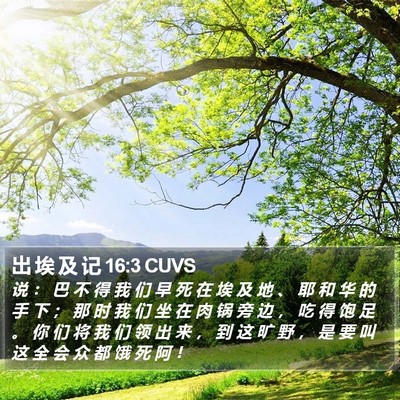 出 埃 及 记 16:3 CUVS Bible Verse Image