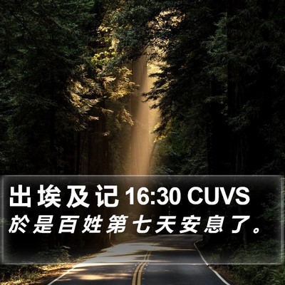 出 埃 及 记 16:30 CUVS Bible Verse Image
