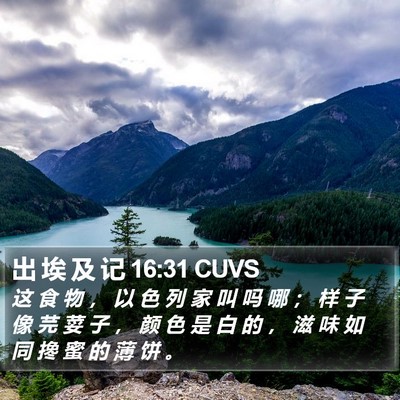 出 埃 及 记 16:31 CUVS Bible Verse Image