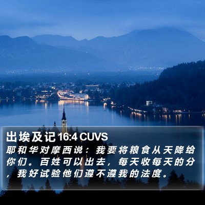 出 埃 及 记 16:4 CUVS Bible Verse Image