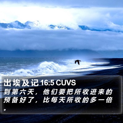 出 埃 及 记 16:5 CUVS Bible Verse Image