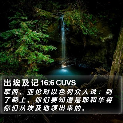 出 埃 及 记 16:6 CUVS Bible Verse Image