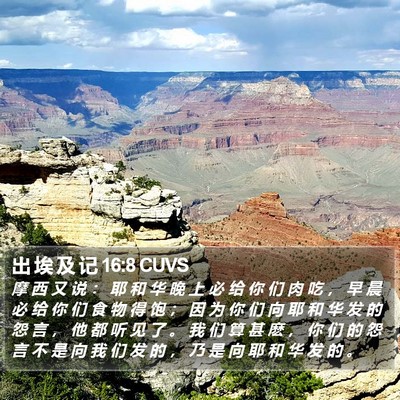 出 埃 及 记 16:8 CUVS Bible Verse Image