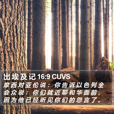 出 埃 及 记 16:9 CUVS Bible Verse Image