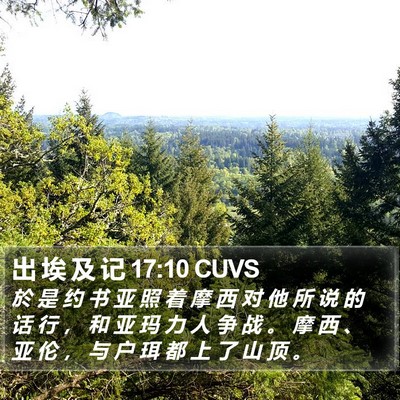 出 埃 及 记 17:10 CUVS Bible Verse Image