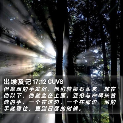 出 埃 及 记 17:12 CUVS Bible Verse Image