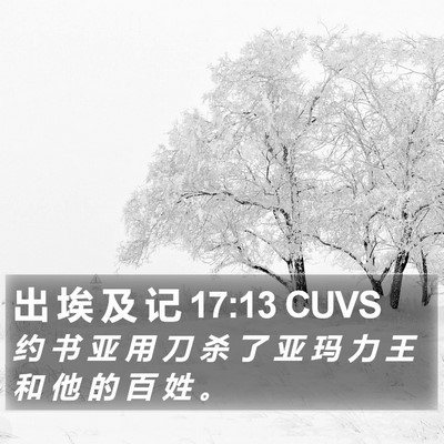 出 埃 及 记 17:13 CUVS Bible Verse Image