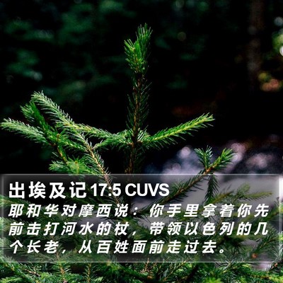 出 埃 及 记 17:5 CUVS Bible Verse Image