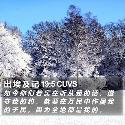 出 埃 及 记 19:5 CUVS Bible Verse Image