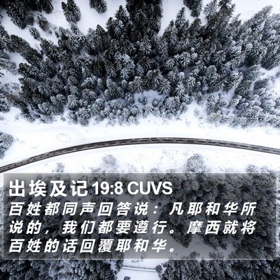 出 埃 及 记 19:8 CUVS Bible Verse Image