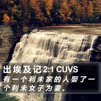 出 埃 及 记 2:1 CUVS Bible Verse Image