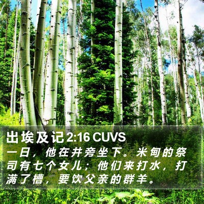 出 埃 及 记 2:16 CUVS Bible Verse Image