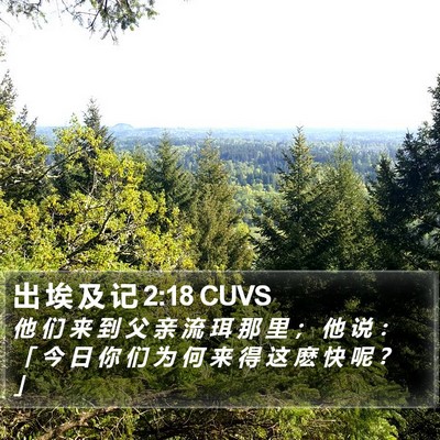 出 埃 及 记 2:18 CUVS Bible Verse Image