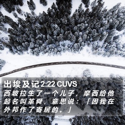 出 埃 及 记 2:22 CUVS Bible Verse Image