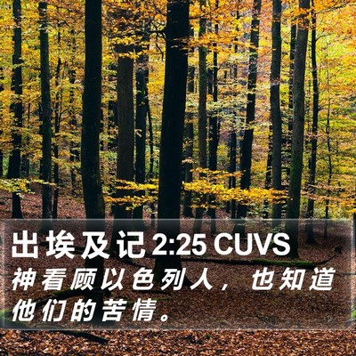 出 埃 及 记 2:25 CUVS Bible Verse Image