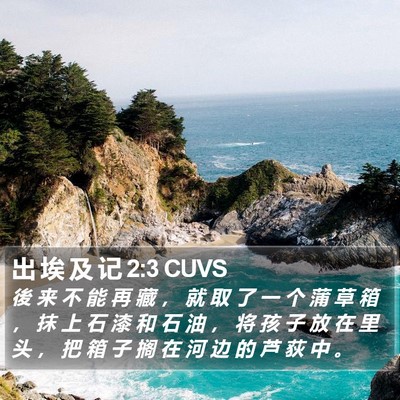 出 埃 及 记 2:3 CUVS Bible Verse Image