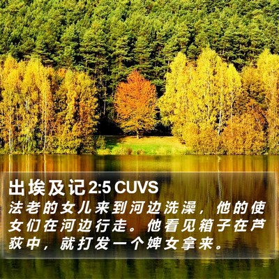 出 埃 及 记 2:5 CUVS Bible Verse Image