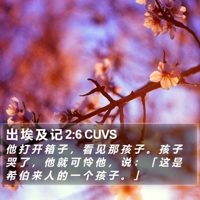 出 埃 及 记 2:6 CUVS Bible Verse Image