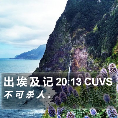 出 埃 及 记 20:13 CUVS Bible Verse Image
