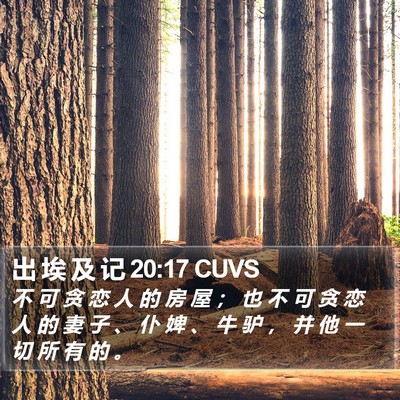 出 埃 及 记 20:17 CUVS Bible Verse Image