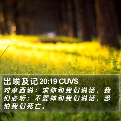 出 埃 及 记 20:19 CUVS Bible Verse Image