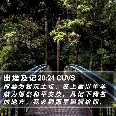 出 埃 及 记 20:24 CUVS Bible Verse Image