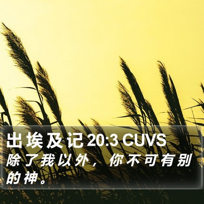 出 埃 及 记 20:3 CUVS Bible Verse Image