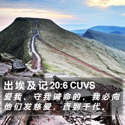 出 埃 及 记 20:6 CUVS Bible Verse Image