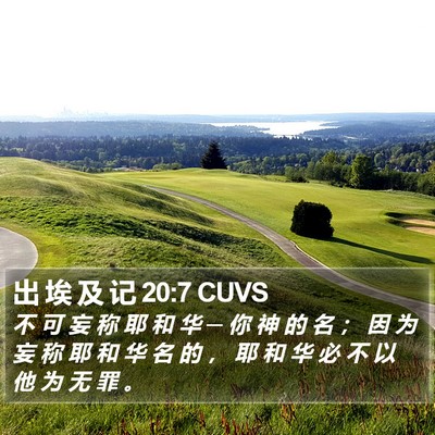 出 埃 及 记 20:7 CUVS Bible Verse Image