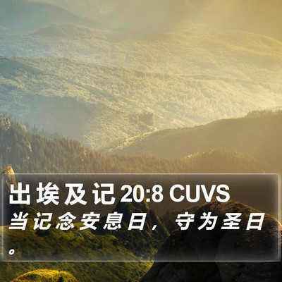 出 埃 及 记 20:8 CUVS Bible Verse Image