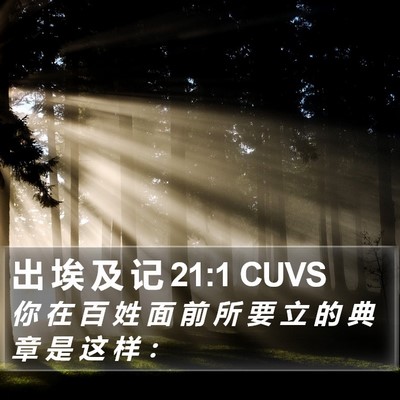 出 埃 及 记 21:1 CUVS Bible Verse Image