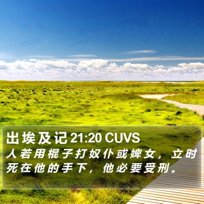 出 埃 及 记 21:20 CUVS Bible Verse Image