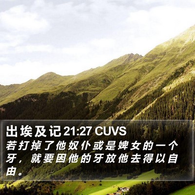 出 埃 及 记 21:27 CUVS Bible Verse Image