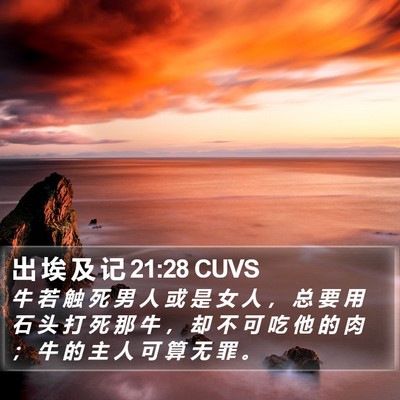 出 埃 及 记 21:28 CUVS Bible Verse Image