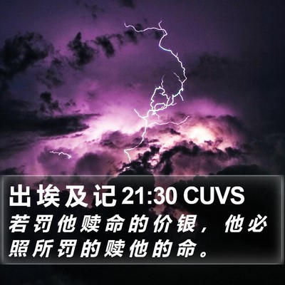 出 埃 及 记 21:30 CUVS Bible Verse Image