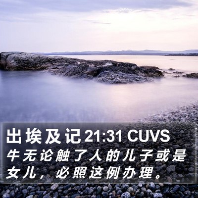出 埃 及 记 21:31 CUVS Bible Verse Image