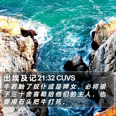 出 埃 及 记 21:32 CUVS Bible Verse Image