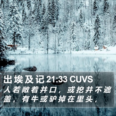 出 埃 及 记 21:33 CUVS Bible Verse Image