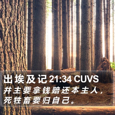 出 埃 及 记 21:34 CUVS Bible Verse Image