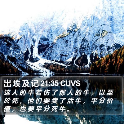 出 埃 及 记 21:35 CUVS Bible Verse Image
