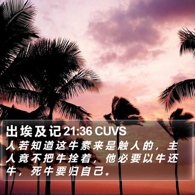 出 埃 及 记 21:36 CUVS Bible Verse Image