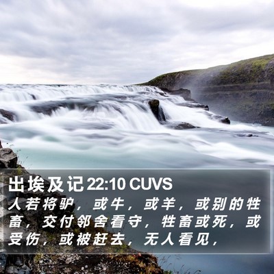 出 埃 及 记 22:10 CUVS Bible Verse Image