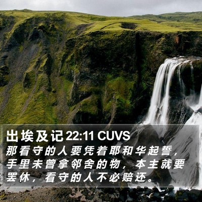 出 埃 及 记 22:11 CUVS Bible Verse Image