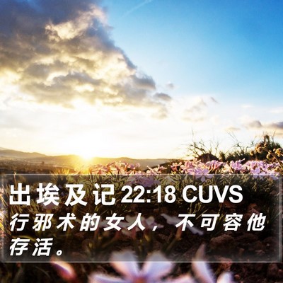 出 埃 及 记 22:18 CUVS Bible Verse Image