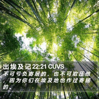 出 埃 及 记 22:21 CUVS Bible Verse Image