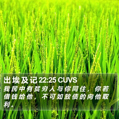 出 埃 及 记 22:25 CUVS Bible Verse Image