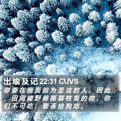 出 埃 及 记 22:31 CUVS Bible Verse Image