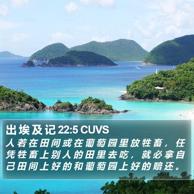 出 埃 及 记 22:5 CUVS Bible Verse Image