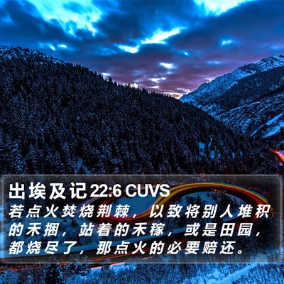 出 埃 及 记 22:6 CUVS Bible Verse Image